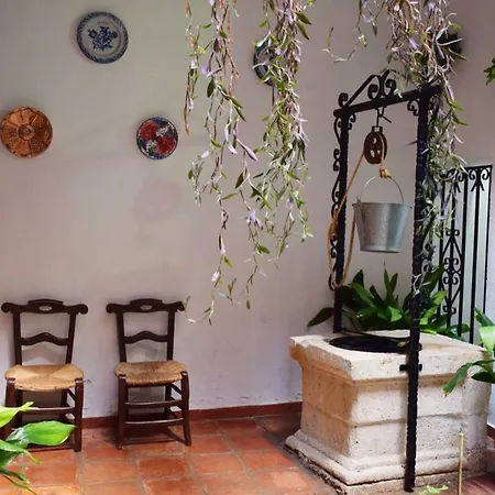 Palacete Magistral Dominguez Homestay *